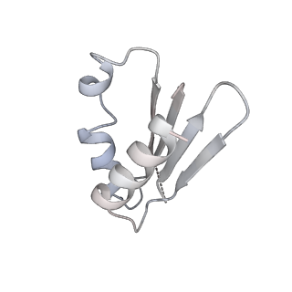 12924_7oib_k_v1-1
Cryo-EM structure of late human 39S mitoribosome assembly intermediates, state 3D