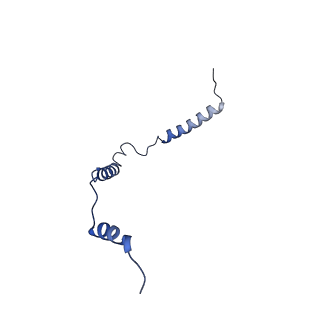12924_7oib_o_v1-1
Cryo-EM structure of late human 39S mitoribosome assembly intermediates, state 3D