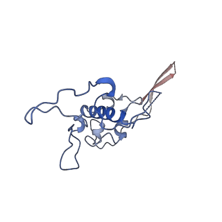 12924_7oib_r_v1-1
Cryo-EM structure of late human 39S mitoribosome assembly intermediates, state 3D