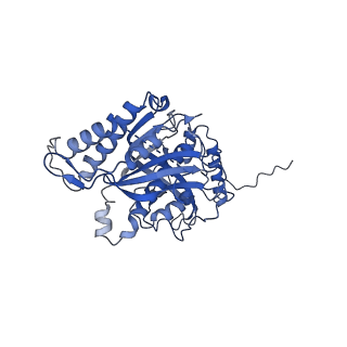 12924_7oib_s_v1-1
Cryo-EM structure of late human 39S mitoribosome assembly intermediates, state 3D