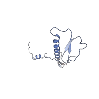 12926_7oid_0_v1-0
Cryo-EM structure of late human 39S mitoribosome assembly intermediates, state 5A