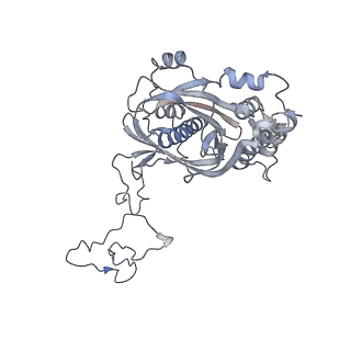 12926_7oid_5_v1-0
Cryo-EM structure of late human 39S mitoribosome assembly intermediates, state 5A