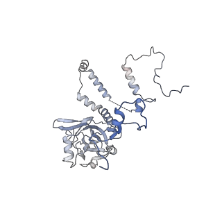 12926_7oid_6_v1-0
Cryo-EM structure of late human 39S mitoribosome assembly intermediates, state 5A