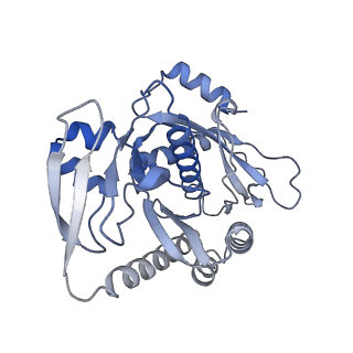 12926_7oid_7_v1-0
Cryo-EM structure of late human 39S mitoribosome assembly intermediates, state 5A