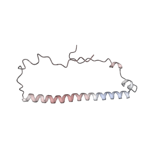 12926_7oid_8_v1-0
Cryo-EM structure of late human 39S mitoribosome assembly intermediates, state 5A