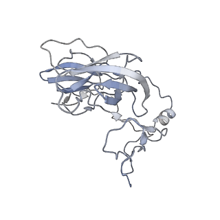 12926_7oid_D_v1-0
Cryo-EM structure of late human 39S mitoribosome assembly intermediates, state 5A