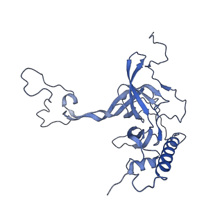12926_7oid_E_v1-0
Cryo-EM structure of late human 39S mitoribosome assembly intermediates, state 5A