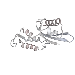 12926_7oid_J_v1-0
Cryo-EM structure of late human 39S mitoribosome assembly intermediates, state 5A
