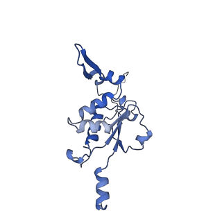 12926_7oid_K_v1-0
Cryo-EM structure of late human 39S mitoribosome assembly intermediates, state 5A