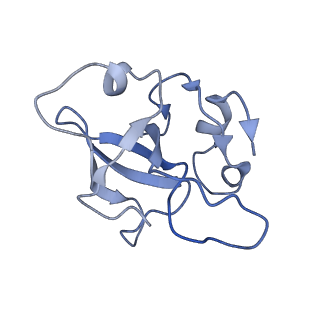 12926_7oid_L_v1-0
Cryo-EM structure of late human 39S mitoribosome assembly intermediates, state 5A