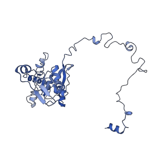 12926_7oid_M_v1-0
Cryo-EM structure of late human 39S mitoribosome assembly intermediates, state 5A