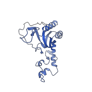 12926_7oid_N_v1-0
Cryo-EM structure of late human 39S mitoribosome assembly intermediates, state 5A