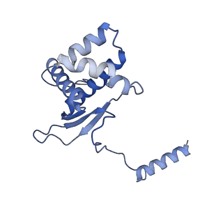 12926_7oid_O_v1-0
Cryo-EM structure of late human 39S mitoribosome assembly intermediates, state 5A