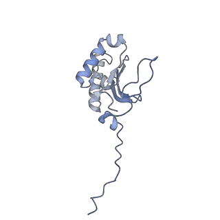 12926_7oid_P_v1-0
Cryo-EM structure of late human 39S mitoribosome assembly intermediates, state 5A