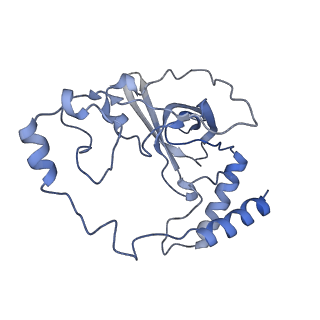 12926_7oid_Q_v1-0
Cryo-EM structure of late human 39S mitoribosome assembly intermediates, state 5A