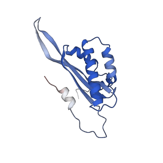 12926_7oid_T_v1-0
Cryo-EM structure of late human 39S mitoribosome assembly intermediates, state 5A