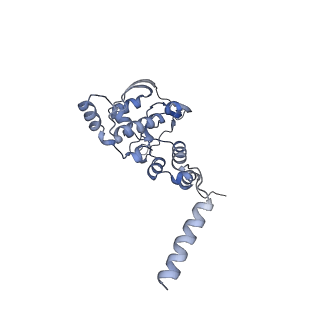 12926_7oid_X_v1-0
Cryo-EM structure of late human 39S mitoribosome assembly intermediates, state 5A