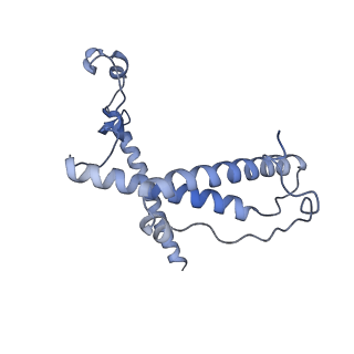 12926_7oid_Y_v1-0
Cryo-EM structure of late human 39S mitoribosome assembly intermediates, state 5A