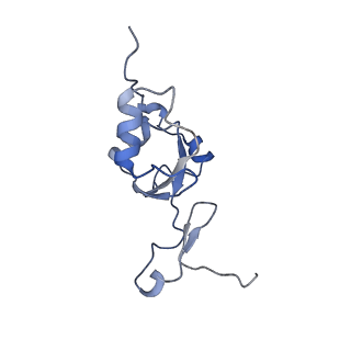 12926_7oid_Z_v1-0
Cryo-EM structure of late human 39S mitoribosome assembly intermediates, state 5A