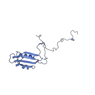 12926_7oid_b_v1-0
Cryo-EM structure of late human 39S mitoribosome assembly intermediates, state 5A