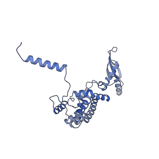 12926_7oid_c_v1-0
Cryo-EM structure of late human 39S mitoribosome assembly intermediates, state 5A