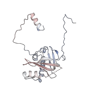 12926_7oid_d_v1-0
Cryo-EM structure of late human 39S mitoribosome assembly intermediates, state 5A