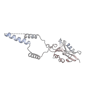 12926_7oid_e_v1-0
Cryo-EM structure of late human 39S mitoribosome assembly intermediates, state 5A