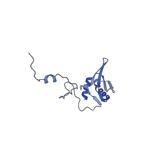 12926_7oid_g_v1-0
Cryo-EM structure of late human 39S mitoribosome assembly intermediates, state 5A