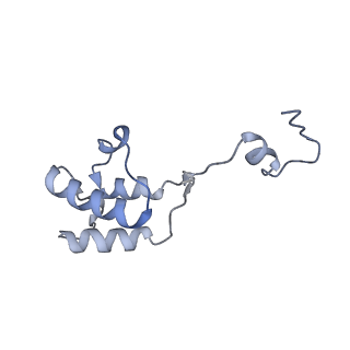 12926_7oid_h_v1-0
Cryo-EM structure of late human 39S mitoribosome assembly intermediates, state 5A