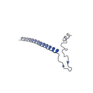 12926_7oid_j_v1-0
Cryo-EM structure of late human 39S mitoribosome assembly intermediates, state 5A