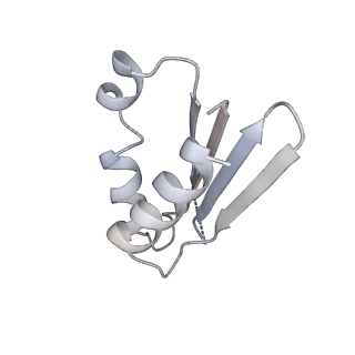 12926_7oid_k_v1-0
Cryo-EM structure of late human 39S mitoribosome assembly intermediates, state 5A