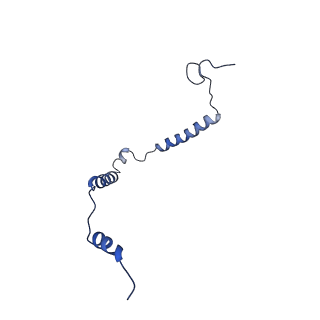 12926_7oid_o_v1-0
Cryo-EM structure of late human 39S mitoribosome assembly intermediates, state 5A