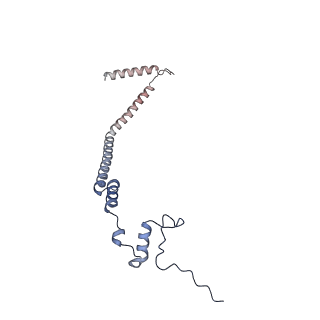 12926_7oid_q_v1-0
Cryo-EM structure of late human 39S mitoribosome assembly intermediates, state 5A