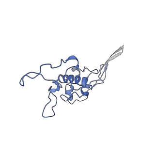 12926_7oid_r_v1-0
Cryo-EM structure of late human 39S mitoribosome assembly intermediates, state 5A