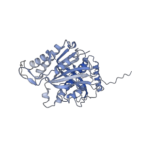 12926_7oid_s_v1-0
Cryo-EM structure of late human 39S mitoribosome assembly intermediates, state 5A