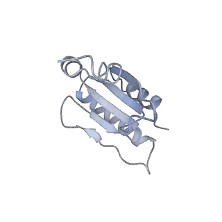 12926_7oid_u_v1-0
Cryo-EM structure of late human 39S mitoribosome assembly intermediates, state 5A