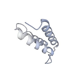 12926_7oid_v_v1-0
Cryo-EM structure of late human 39S mitoribosome assembly intermediates, state 5A