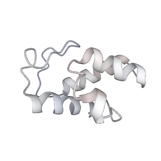 12926_7oid_w_v1-0
Cryo-EM structure of late human 39S mitoribosome assembly intermediates, state 5A