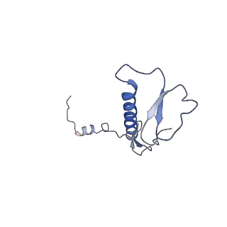 12927_7oie_0_v1-0
Cryo-EM structure of late human 39S mitoribosome assembly intermediates, state 5B
