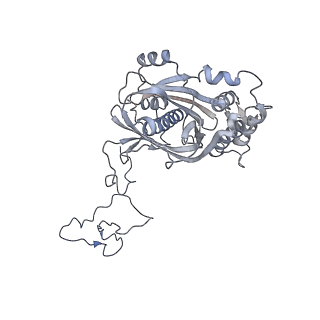 12927_7oie_5_v1-0
Cryo-EM structure of late human 39S mitoribosome assembly intermediates, state 5B