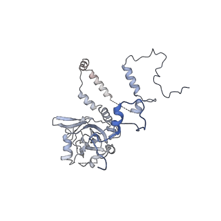 12927_7oie_6_v1-0
Cryo-EM structure of late human 39S mitoribosome assembly intermediates, state 5B