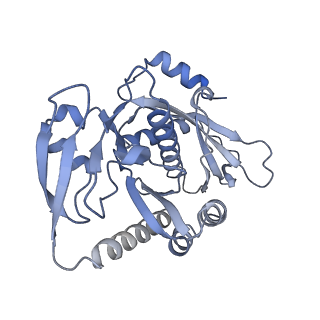 12927_7oie_7_v1-0
Cryo-EM structure of late human 39S mitoribosome assembly intermediates, state 5B