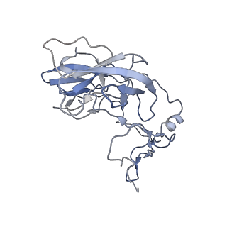 12927_7oie_D_v1-0
Cryo-EM structure of late human 39S mitoribosome assembly intermediates, state 5B