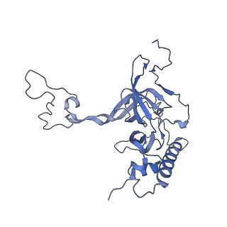 12927_7oie_E_v1-0
Cryo-EM structure of late human 39S mitoribosome assembly intermediates, state 5B