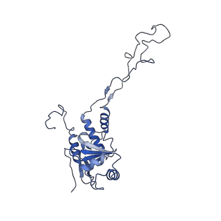 12927_7oie_F_v1-0
Cryo-EM structure of late human 39S mitoribosome assembly intermediates, state 5B