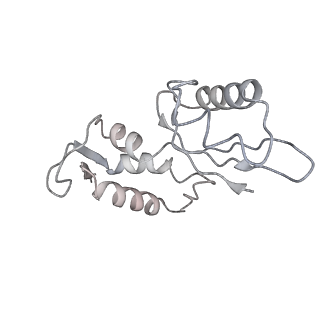 12927_7oie_J_v1-0
Cryo-EM structure of late human 39S mitoribosome assembly intermediates, state 5B