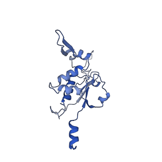 12927_7oie_K_v1-0
Cryo-EM structure of late human 39S mitoribosome assembly intermediates, state 5B