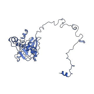 12927_7oie_M_v1-0
Cryo-EM structure of late human 39S mitoribosome assembly intermediates, state 5B