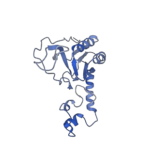 12927_7oie_N_v1-0
Cryo-EM structure of late human 39S mitoribosome assembly intermediates, state 5B