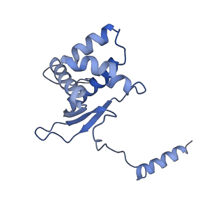 12927_7oie_O_v1-0
Cryo-EM structure of late human 39S mitoribosome assembly intermediates, state 5B